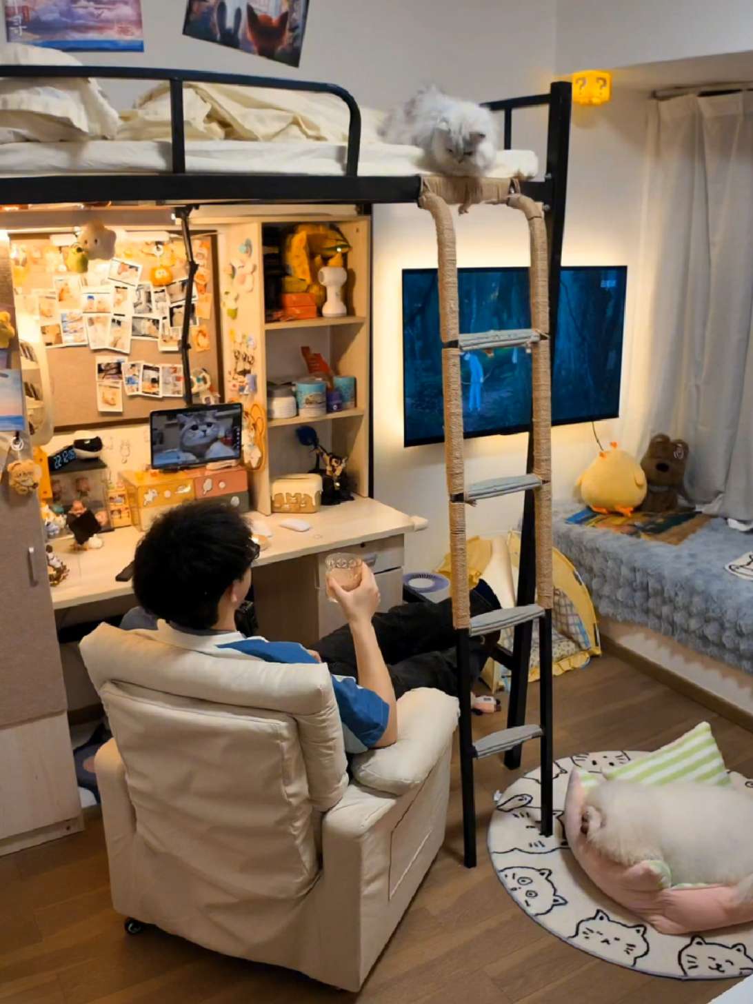 伍七零一一（毕业版） avatar